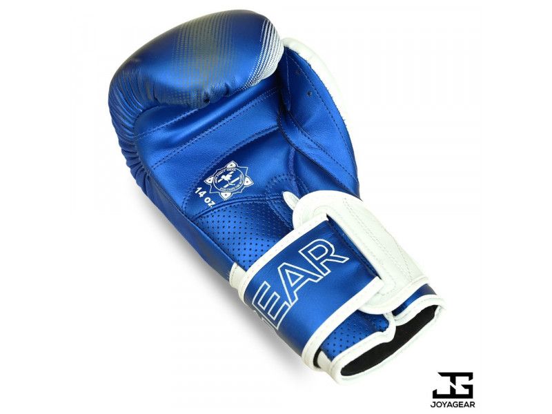EVOLUTION"HANDSCHOENEN - BLAUW-WIT