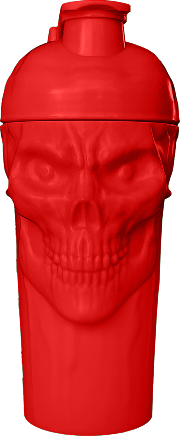 THE CURSE SKULL SHAKER