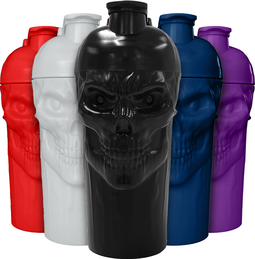 THE CURSE SKULL SHAKER