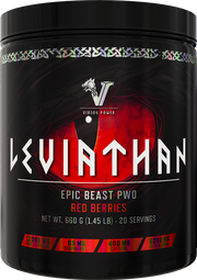 Viking Power Leviathan Hardcore PWO