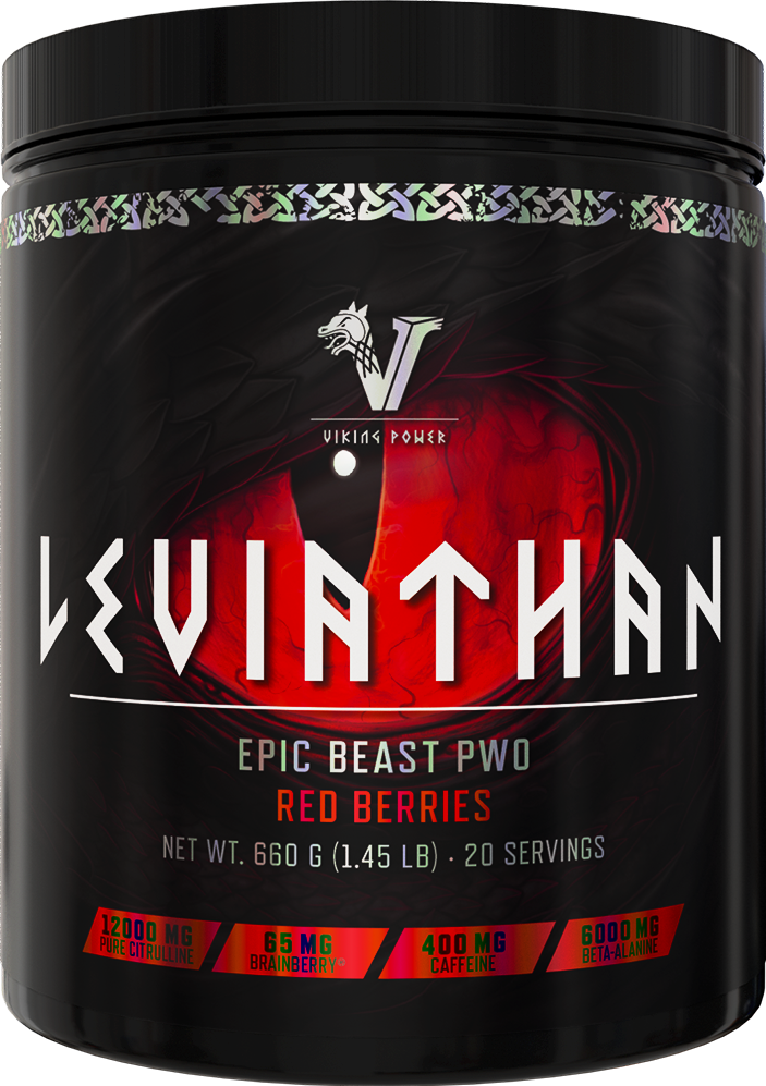 Viking Power Leviathan Hardcore PWO